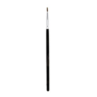 Eyeliner & Fine Detail Brush (fine tip)