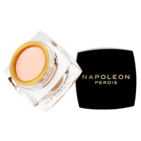 Napoleon Perdis - The One Concealer - Porcelain